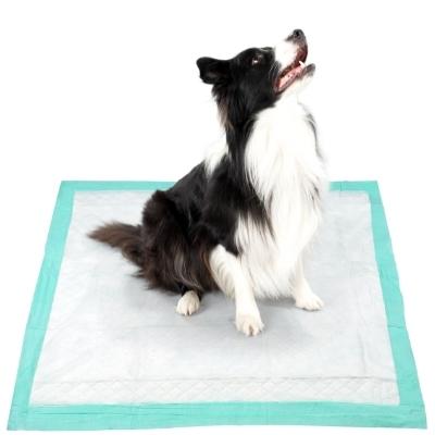 Premium Puppy & Pet Pads - Green